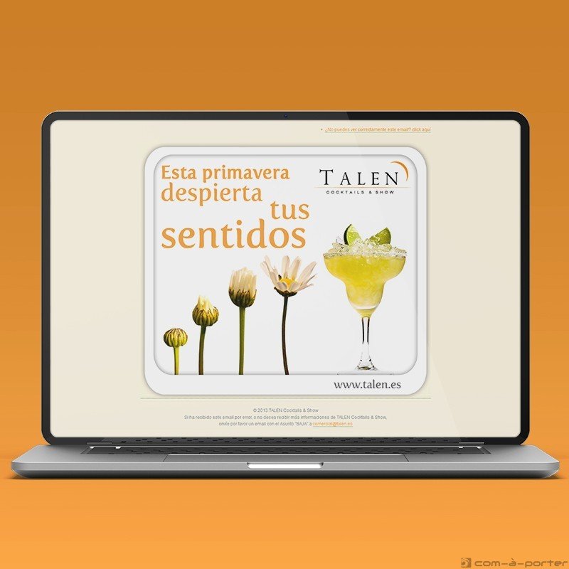 Newsletters Cuatro Estaciones (2013) de TALEN Cocktails & Show Newsletters Cuatro Estaciones (2013) de TALEN Cocktails & Show
