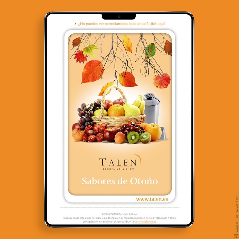 Newsletters Cuatro Estaciones (2014) de TALEN Cocktails & Show