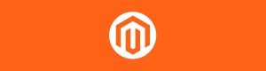 Magento: BIGINT UNSIGNED value is out of range