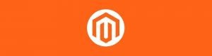 Magento: BIGINT UNSIGNED value is out of range