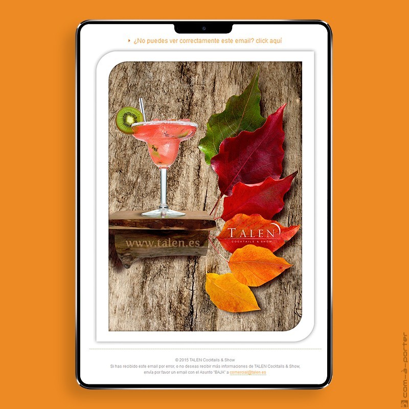 Newsletters Cuatro Estaciones (2015) de TALEN Cocktails & Show