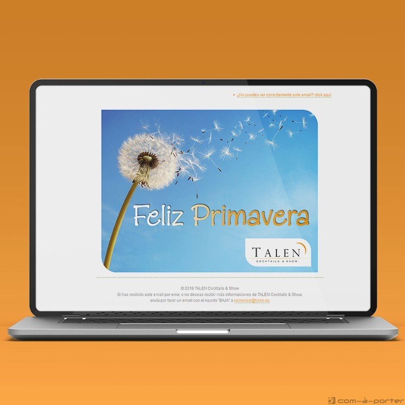 Newsletters Cuatro Estaciones (2018) de TALEN Cocktails & Show