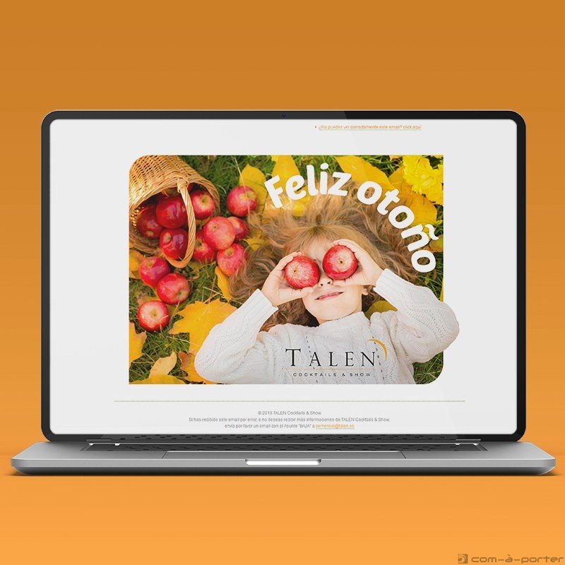 Newsletters Cuatro Estaciones (2018) de TALEN Cocktails & Show