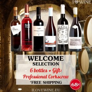 Diseños de promociones para las Redes Sociales de ILOVEWINE