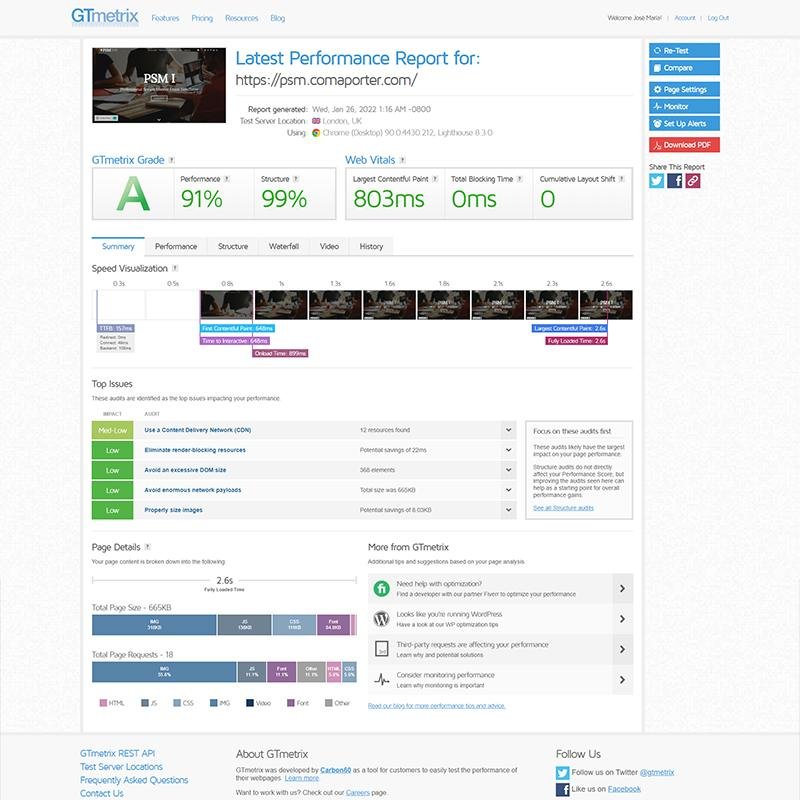 PSM Professional Scrum Master