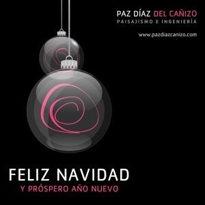 Diseño de Felicitación de Navidad 2020 para las Redes Sociales de Paz Díaz del Cañizo Paisajismo e Ingeniería