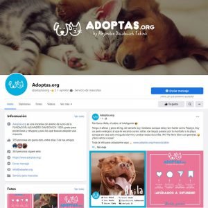 Gestión del perfil de Facebook de ADOPTAS.ORG de la Fundación Alejandro Davidovich