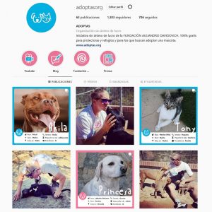 Gestión del perfil de Instagram de ADOPTAS.ORG de la Fundación Alejandro Davidovich