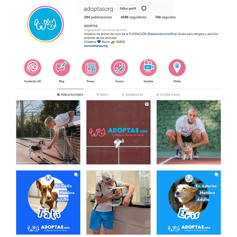 Gestión del perfil de Instagram de ADOPTAS.ORG de la Fundación Alejandro Davidovich