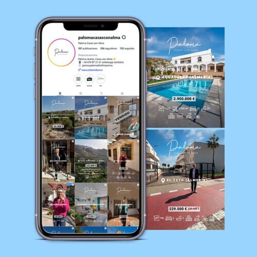 Gestión del perfil de la red social Instagram de Paloma Casas con Alma