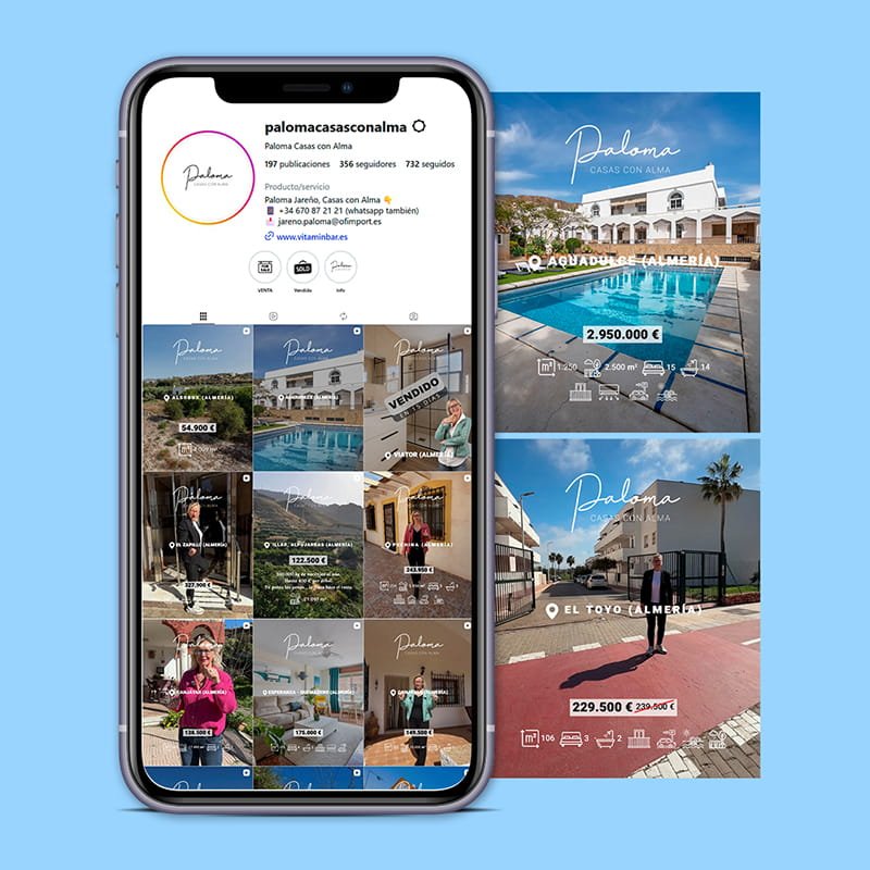 Gestión del perfil de la red social Instagram de Paloma Casas con Alma
